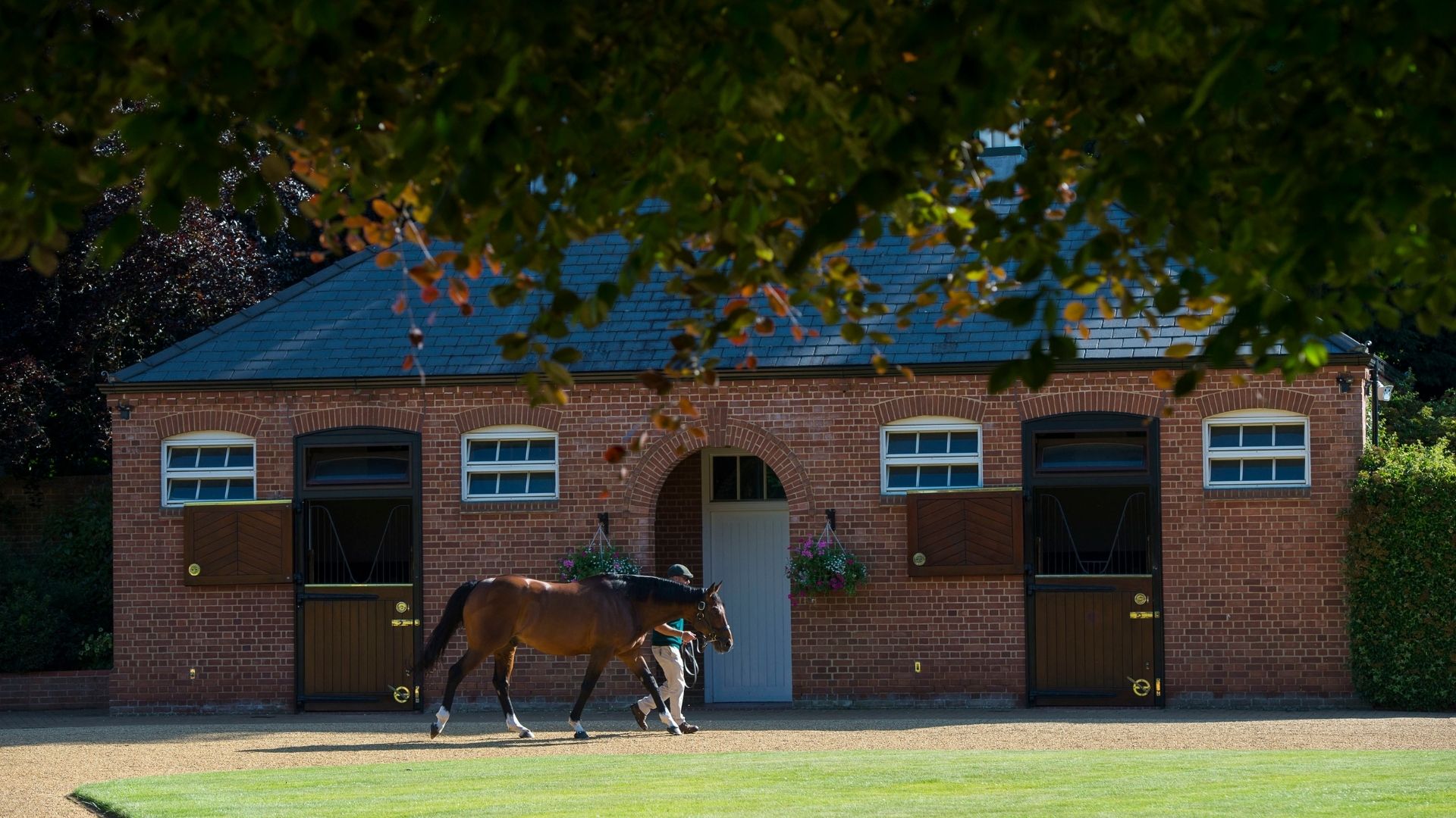 Frankel at Banstead Manor after induction into Hall of Fame