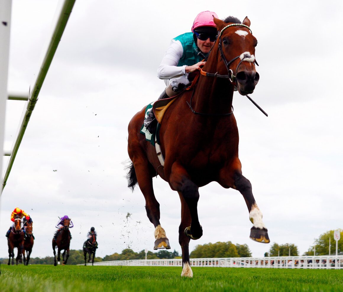Frankel eases to victory in the Juddmonte Royal Lodge at Newmarket