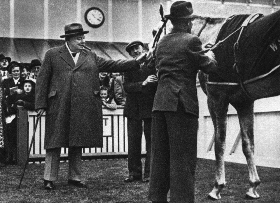 Churchill Horse