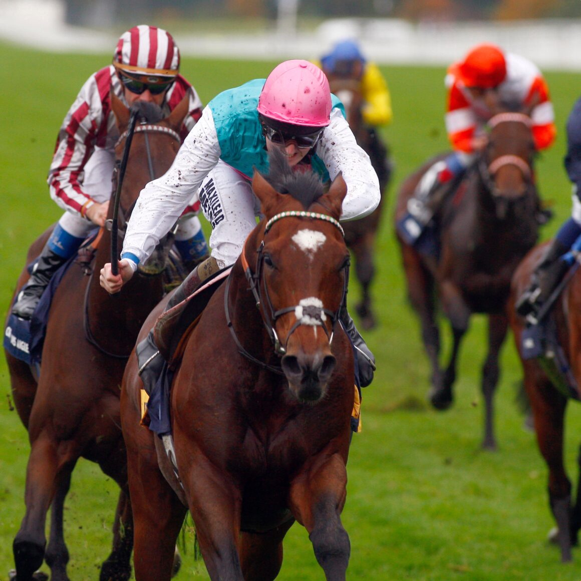 Frankel Hall of Famer