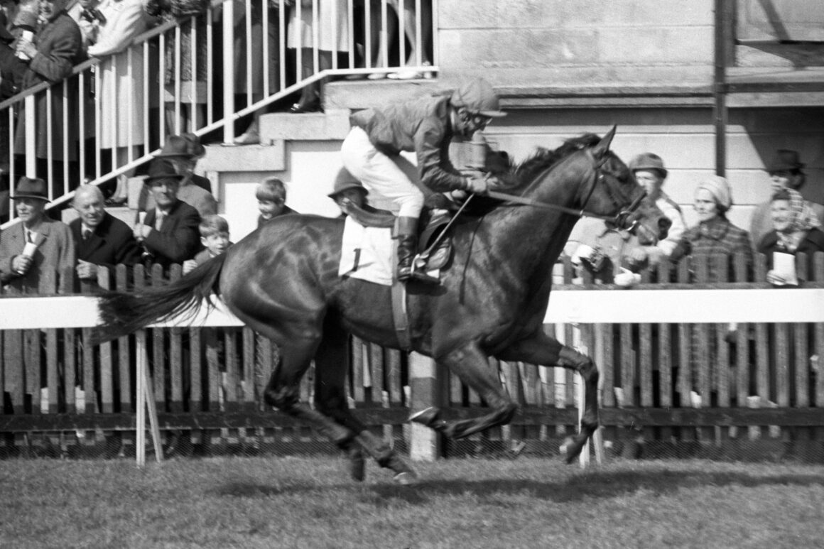 Brigadier Gerard remains unbeaten