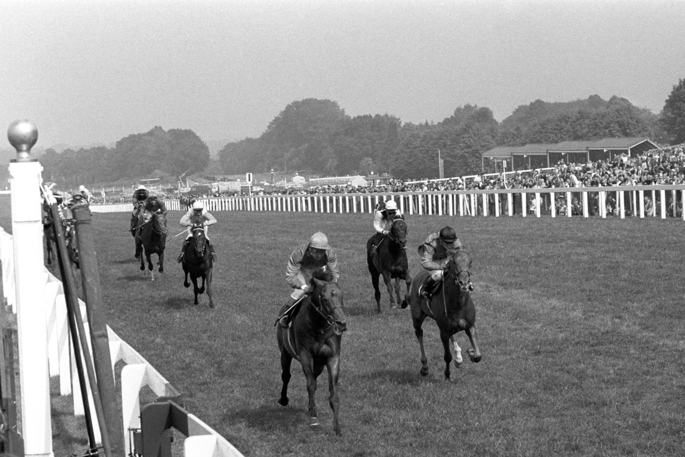 Brigadier Gerard Ascot