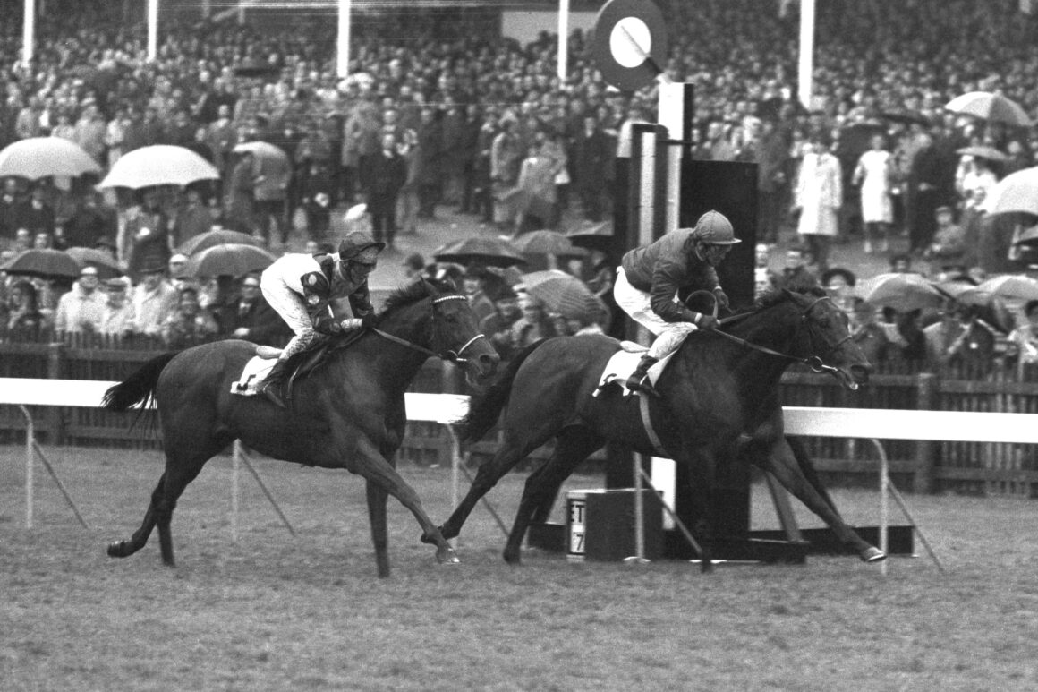 Brigadier Gerard Champion Stakes