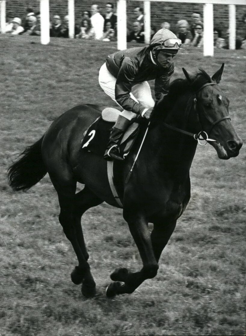 Brigadier Gerard
