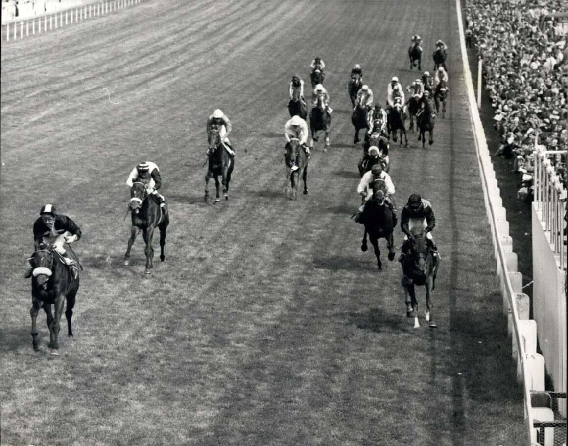 Mill Reef Derby