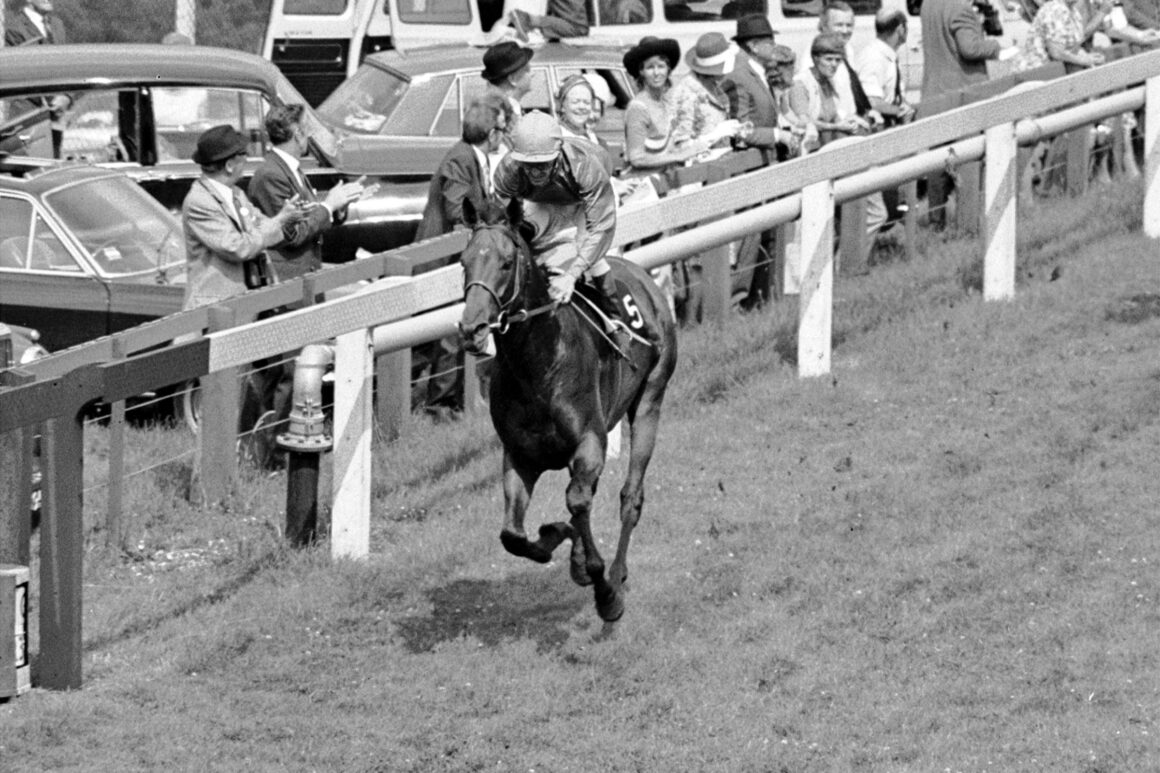 Brigadier Gerard wins the Sussex Stakes