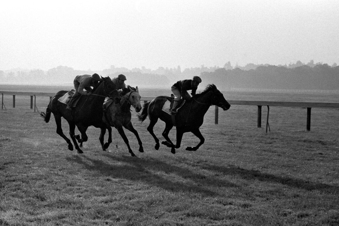 Mill Reef in exercise