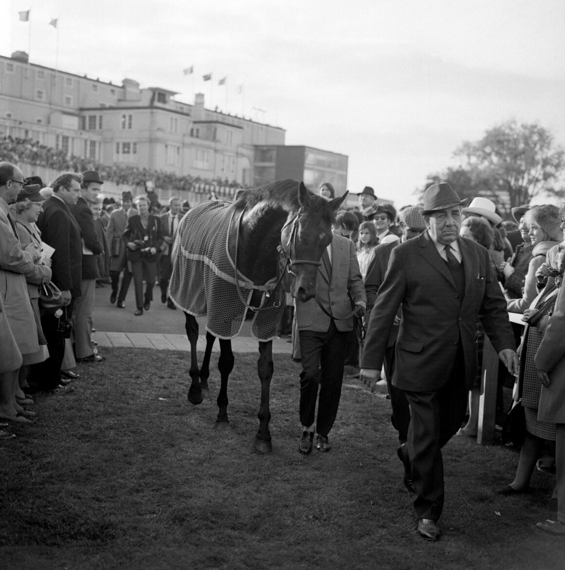 Brigadier Gerard retires having won 17 of 18 races