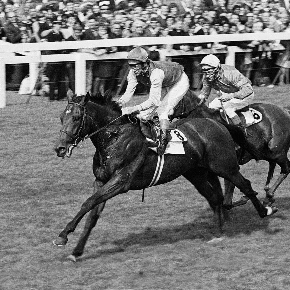 Nijinsky wins the St Leger