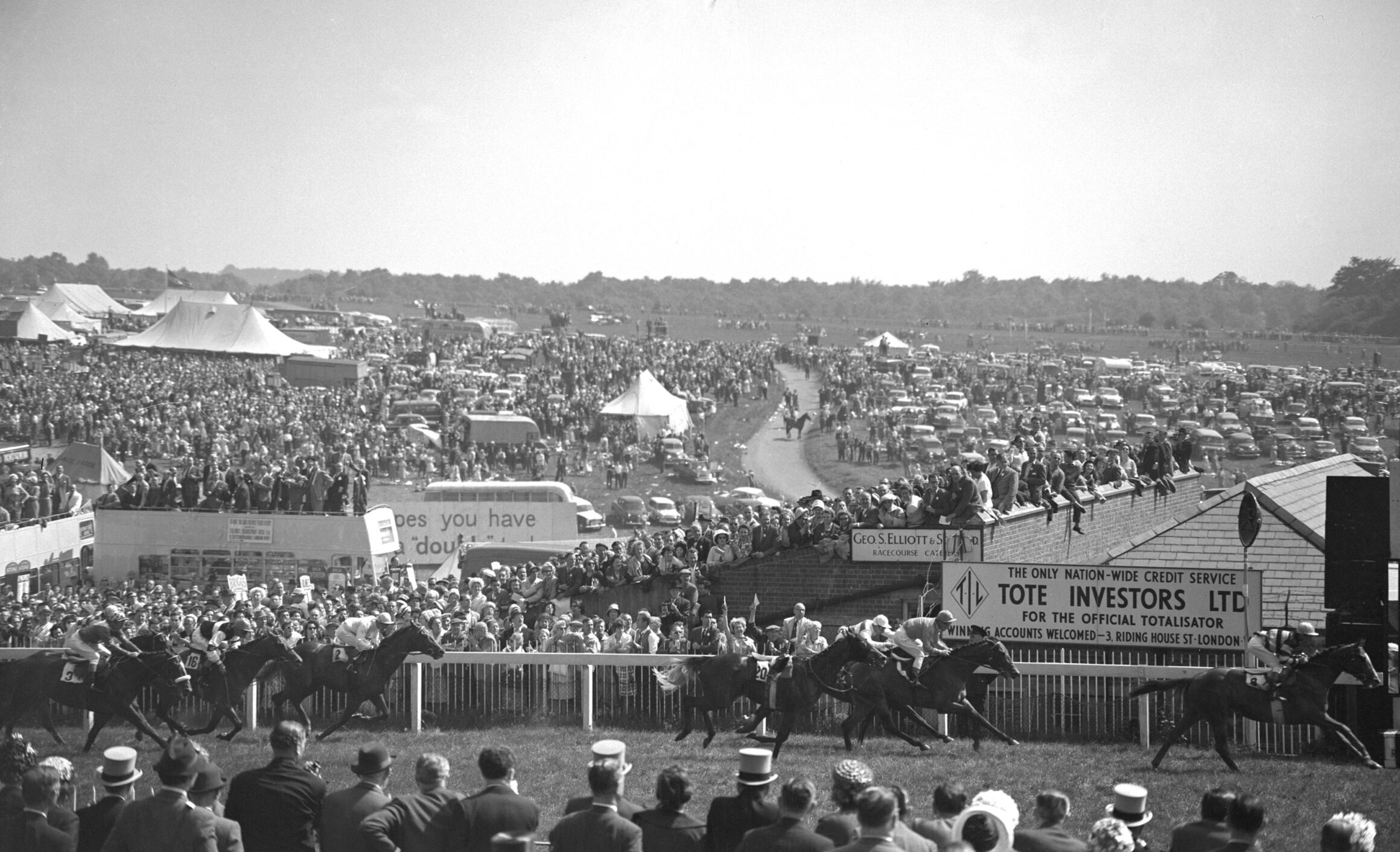 1962 Derby - Larkspur