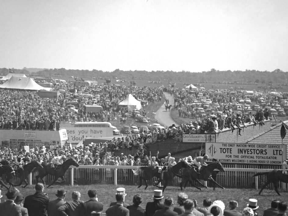 1962 Derby - Larkspur